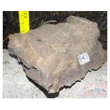 4' Petrified Wood Round. 4' Petrified Wood Round.