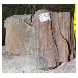 2 Pieces of Petrified Wood. 2 Pieces of Petrified Wood.