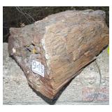Petrified Wood Slab, 4' high. Petrified Wood Slab, 4' high.