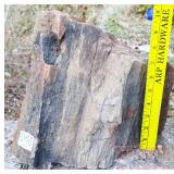 10" Petrified Wood Slab.