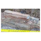 Petrified Wood Slab.