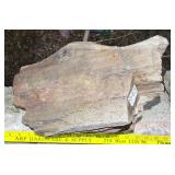 15" Petrified Wood Slab.