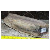 Petrified Wood Slab.