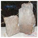 2 Pieces of Petrified Wood. 2 Pieces of Petrified Wood.