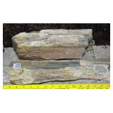 2 Pieces of Petrified Wood.