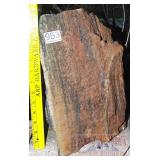 15" Dark Red Petrified Wood Slab.