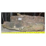 20' Petrified Wood Slab. 20' Petrified Wood Slab.