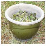 Green Pottery Planter.