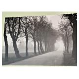 Wall picture, 40x28" (set of 4)