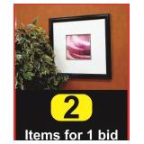 (2) 26"x26" Framed Food Pictures