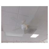 Ceiling fan