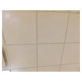 Ceiling tile +/- 80 pieces