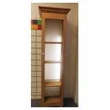 Bookcase with illuminated back, 16 x 20 x 87
