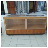 Lighted Sales Counter 20"x87"