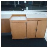 Sales Counter 20"x80"