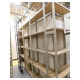 Shelves with ladder, 12x254x143