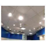 Track lights with 24 lights, Approx. 35