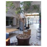 40"X29"h Plastic Planters