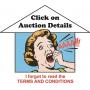 Please read ALL of the auction details above