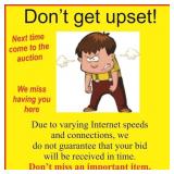 Internet bidding is not perfect