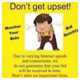 Internet bidding is not perfect