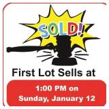 First lot sells at 1:00 PM on Sunday, Jan. 12