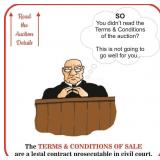 Please read ALL of the auction details above