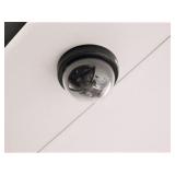(10)Security Cameras-Mounted to Ceiling