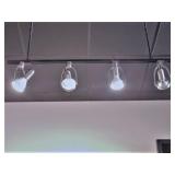 (7) Hanging Track Lights