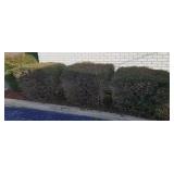 ALL SHRUBERY AROUND BUILDING