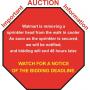 WARNING  --  AUCTION MAY END AT ANY TIME