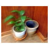 PLANTS AND PLANTERS