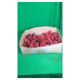 12Ga. Empty Shot Shells 12Ga. Empty Shot Shells