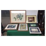 6- Framed Bird Pictures/ Prints 6- Framed Bird Pictures/ Prints