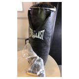 Punching Bag With Gloves & Hanger