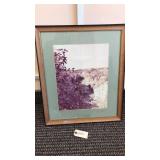 Framed Picture Letchworth State Park Falls Framed Picture Letchworth State Park Falls