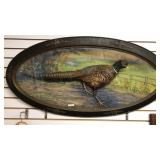 1925 Herman Grieb Pheasant Mount