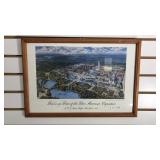 Buffalo Historical Society Framed Print