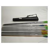 10 Target Arrows with Quiver