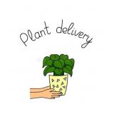 LOTS 1300-1420 RESERVED FOR PLANTS