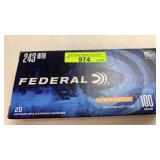 Federal 243 Win., 100 Gr. Jacketed Soft