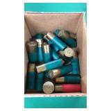 12 Guage Slugs (20 Count)