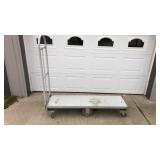 Rolling Cart-Removable Handle