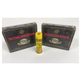 20 Gauge Winchester (5 Sabot Slugs)