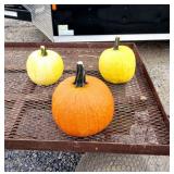 3 Pumpkins, 1 Orange and 2 Yellow