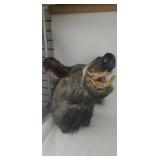 Russian Boar Taxidermy Mount