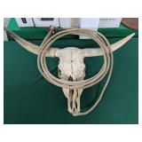 Longhorn Skull and Lasso
