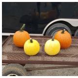 4 Pumpkins, 2 Orange and 2 Yellow