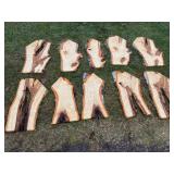 10-Flaming White Birch Cookies