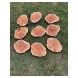 9-Spalted Red Maple Cookies